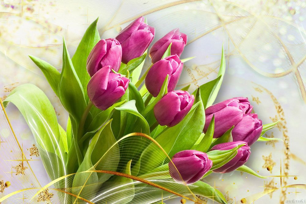 Поздравления С Днем Рождения Женщине Тюльпаны