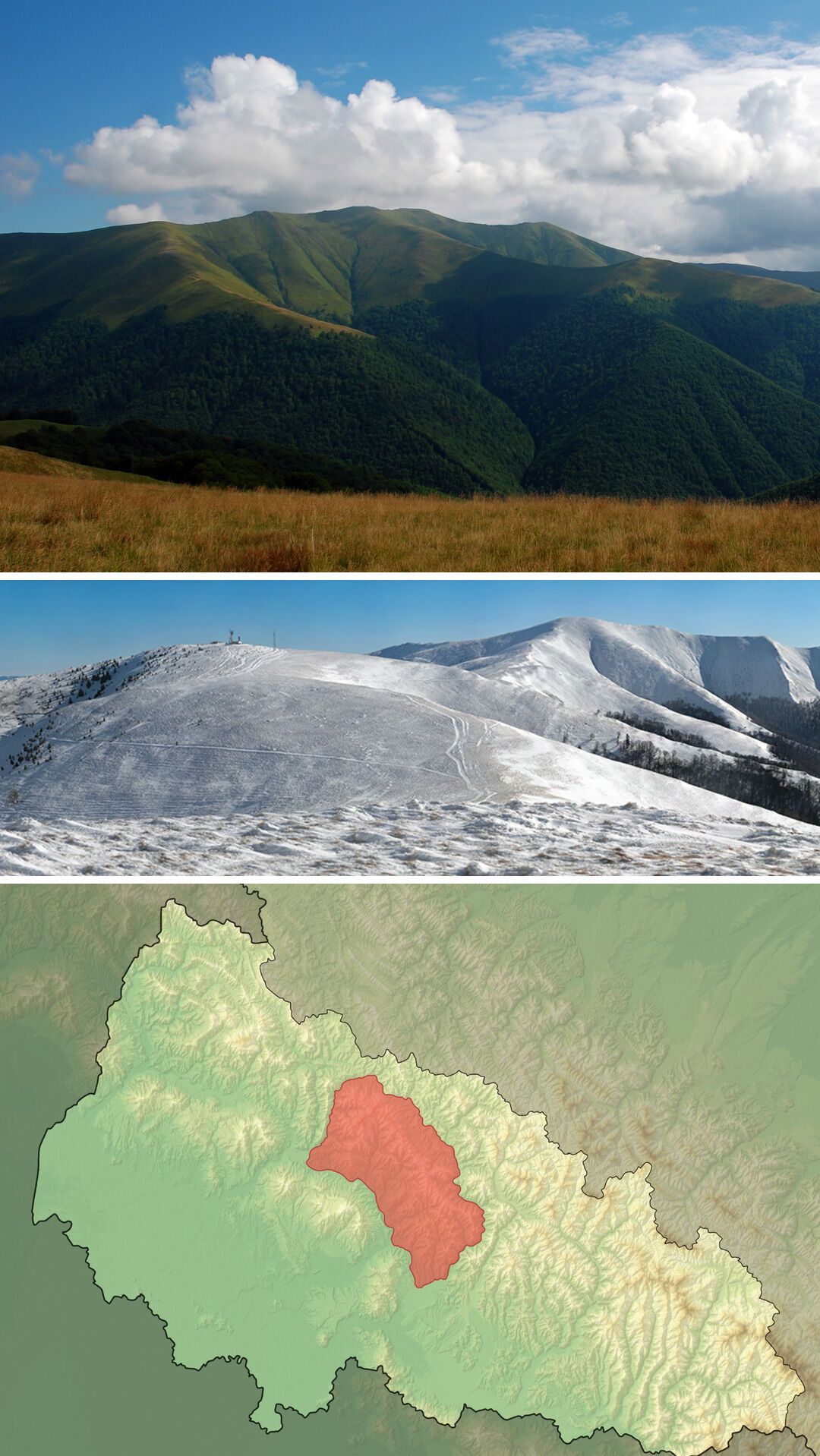 АРМА продала сім'ї чиновника Януковича 460 га землі в Карпатах за символічною ціною: усі подробиці