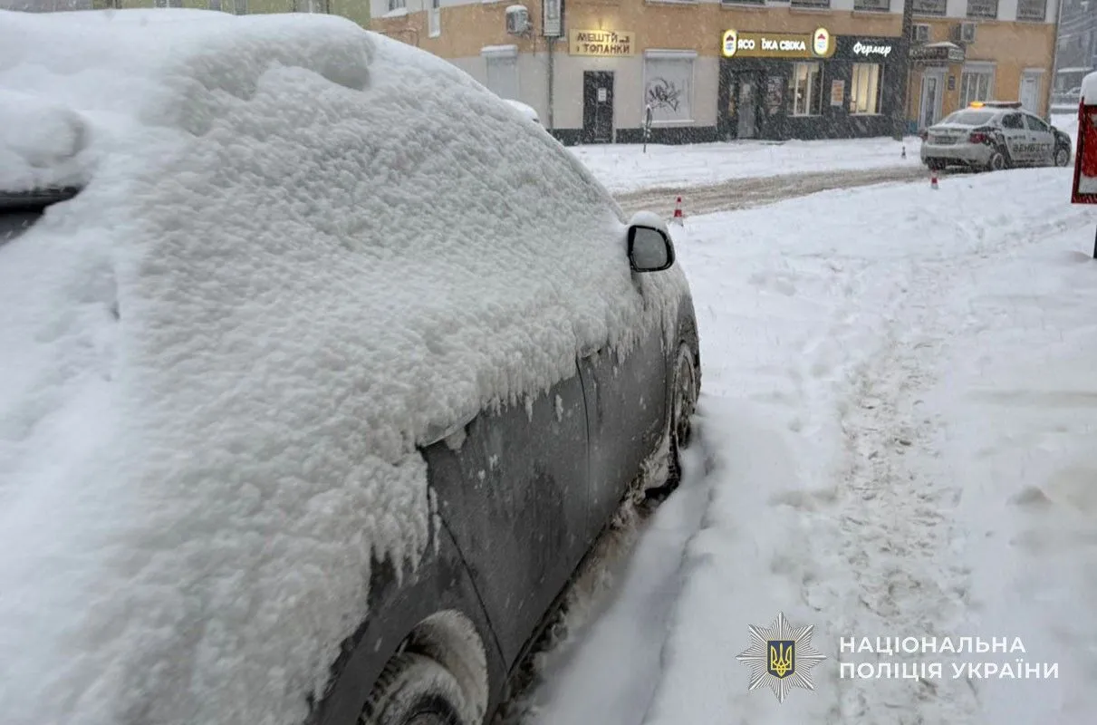 Повалені дерева, на заході фури застрягли в заметах, а на Київщині люди без світла: Україну накрила негода. Фото і відео