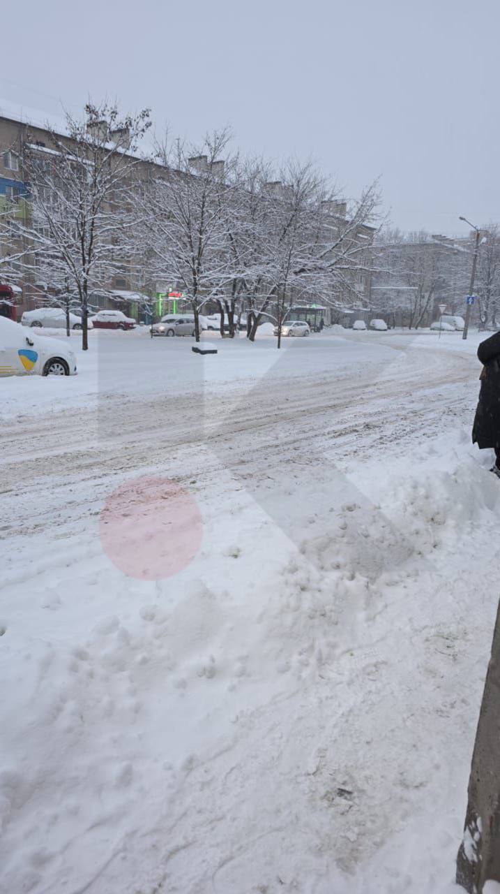 Повалені дерева, на заході фури застрягли в заметах, а на Київщині люди без світла: Україну накрила негода. Фото і відео