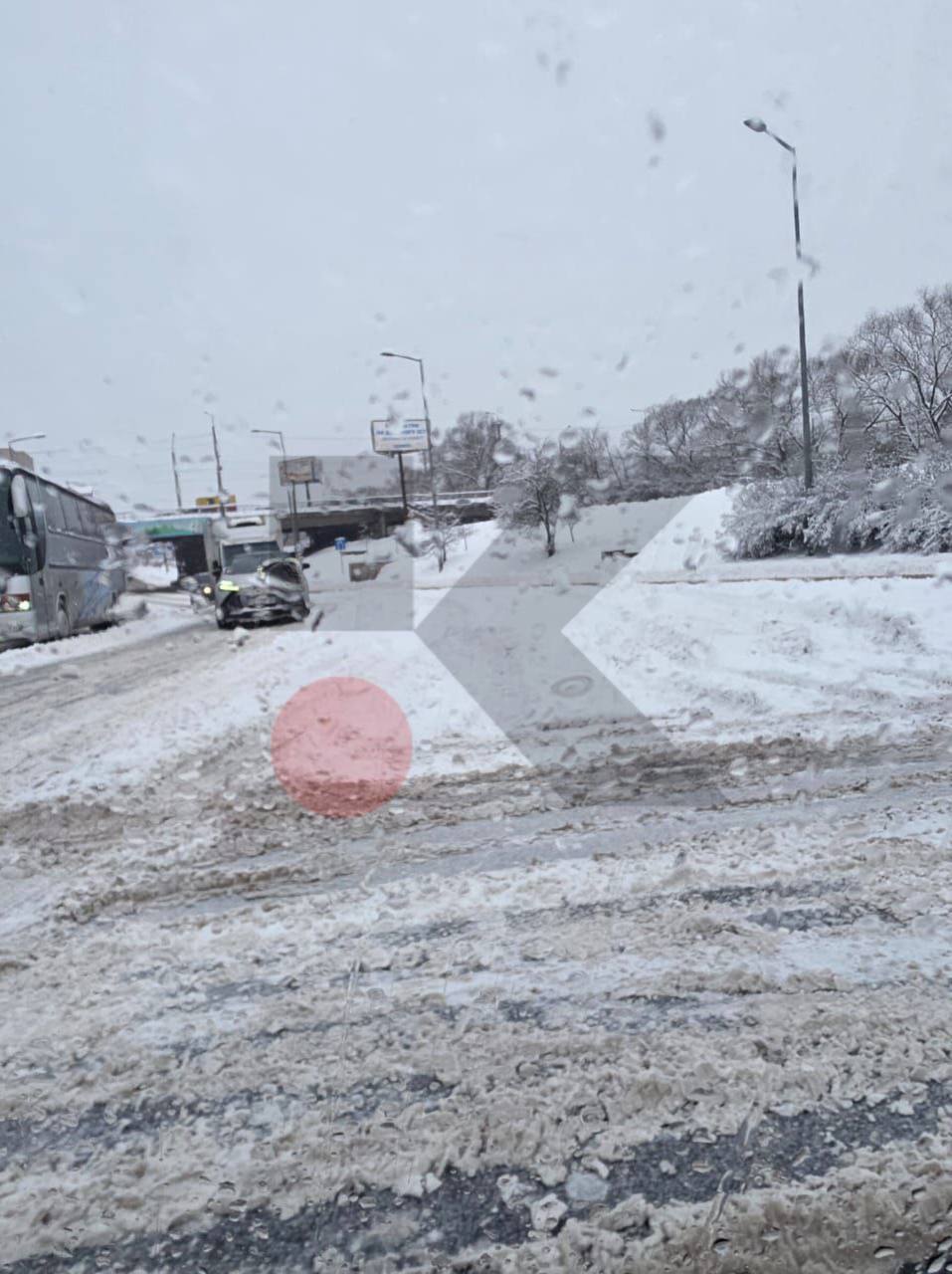 Повалені дерева, на заході фури застрягли в заметах, а на Київщині люди без світла: Україну накрила негода. Фото і відео