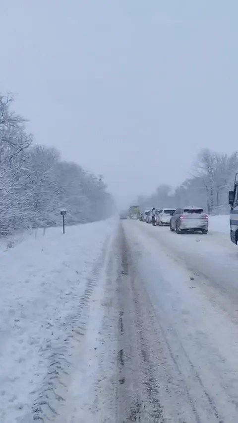 Повалені дерева, на заході фури застрягли в заметах, а на Київщині люди без світла: Україну накрила негода. Фото і відео