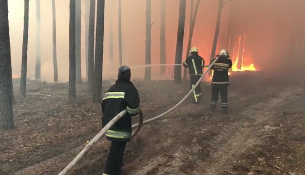 Лесные пожары в Житомирской области