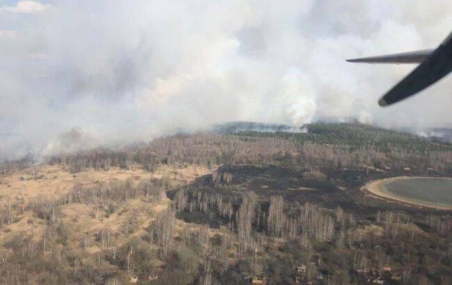Лесные пожары в Житомирской области