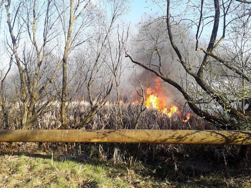 Під Тернополем загорівся заповідник: перші подробиці та фото