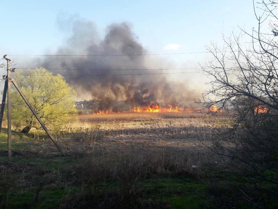 Під Тернополем загорівся заповідник: перші подробиці та фото