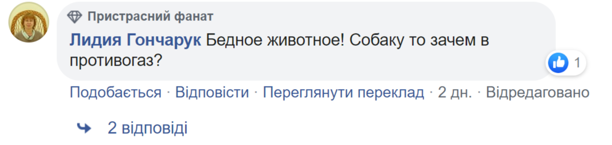Коментарі у мережі