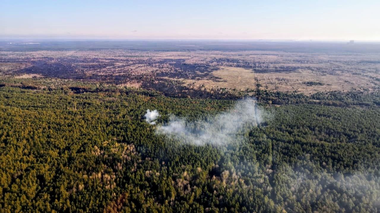 "Які ж с*ки!" Аваков розлютився через підпали в Україні і пригрозив винним