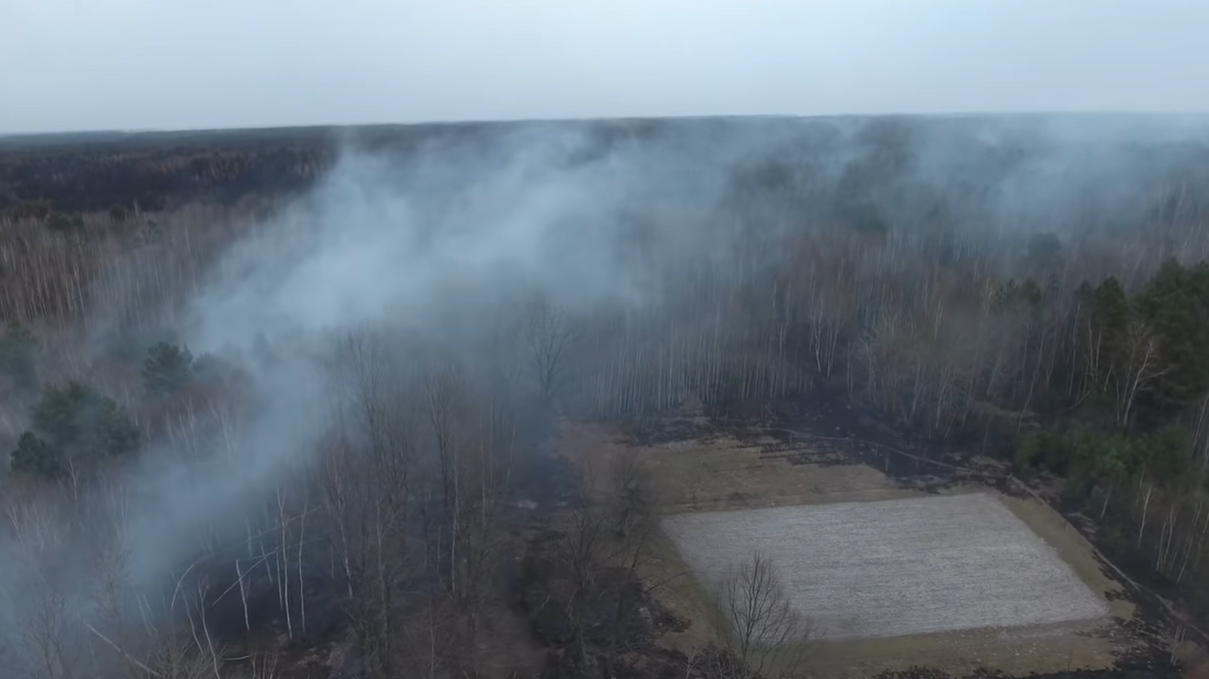 Наслідки пожеж на Житомирщині