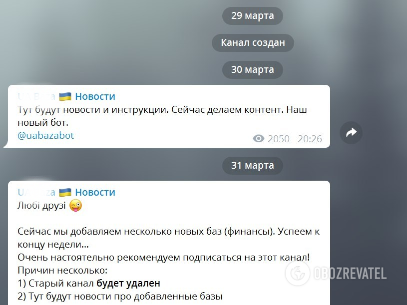 "Дія" слила данные украинцев в сеть? Кого обвинили и кто виноват в грандиозной утечке