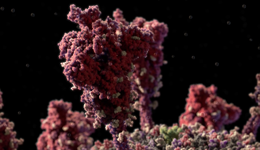 3D-модель коронавірусу