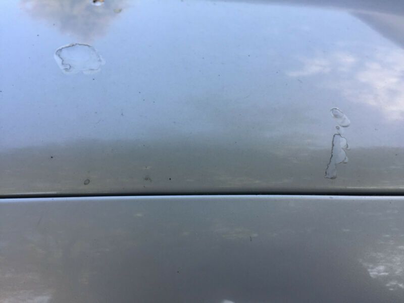 Так выглядит Renault Clio за 50 евро