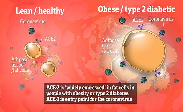 Исследователи установили связь между ожирением и смертностью от коронавируса