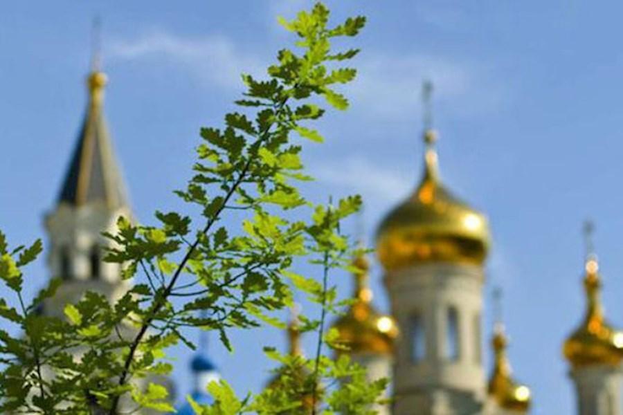 Як підготуватися до Трійці