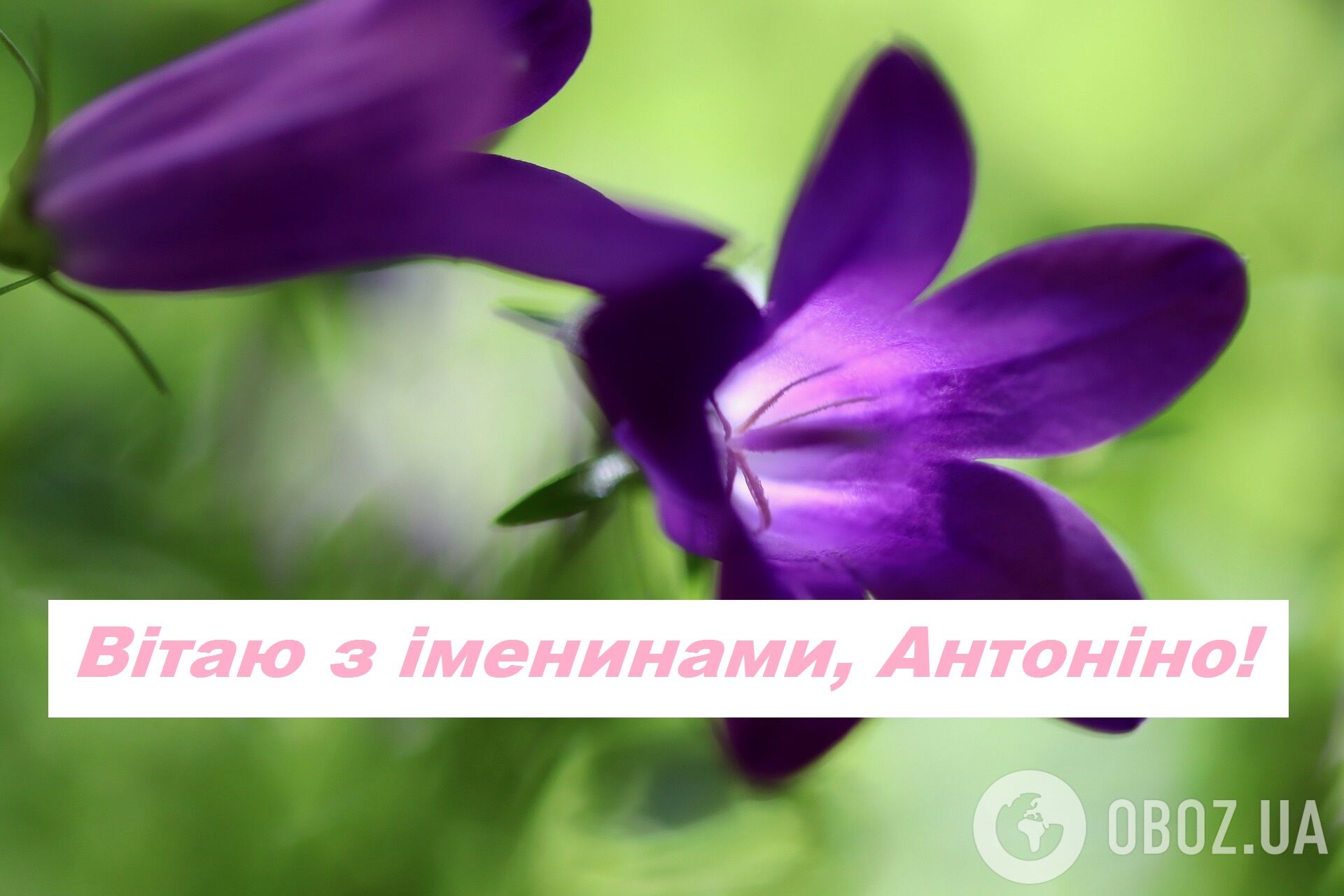 тоня с днем ангела. Смотреть фото тоня с днем ангела. Смотреть картинку тоня с днем ангела. Картинка про тоня с днем ангела. Фото тоня с днем ангела