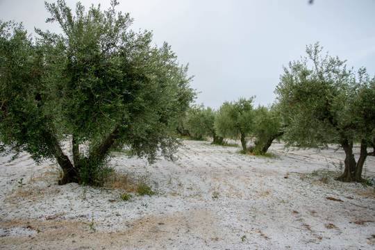 У Хорватії випав сніг