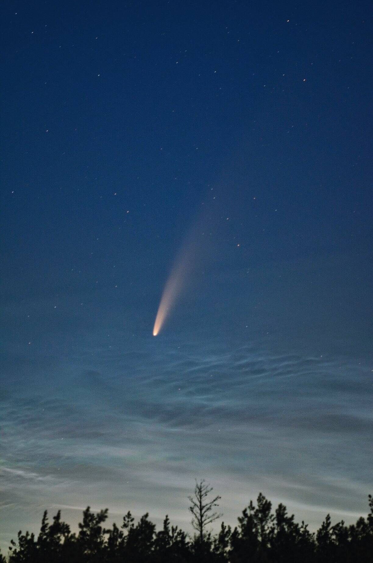 Комета Neowise в небі над Києвом