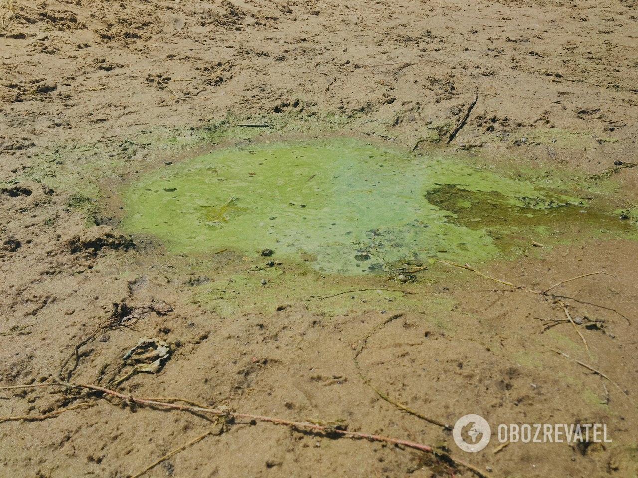 Будьте осторожнее, в воде может быть много опасностей