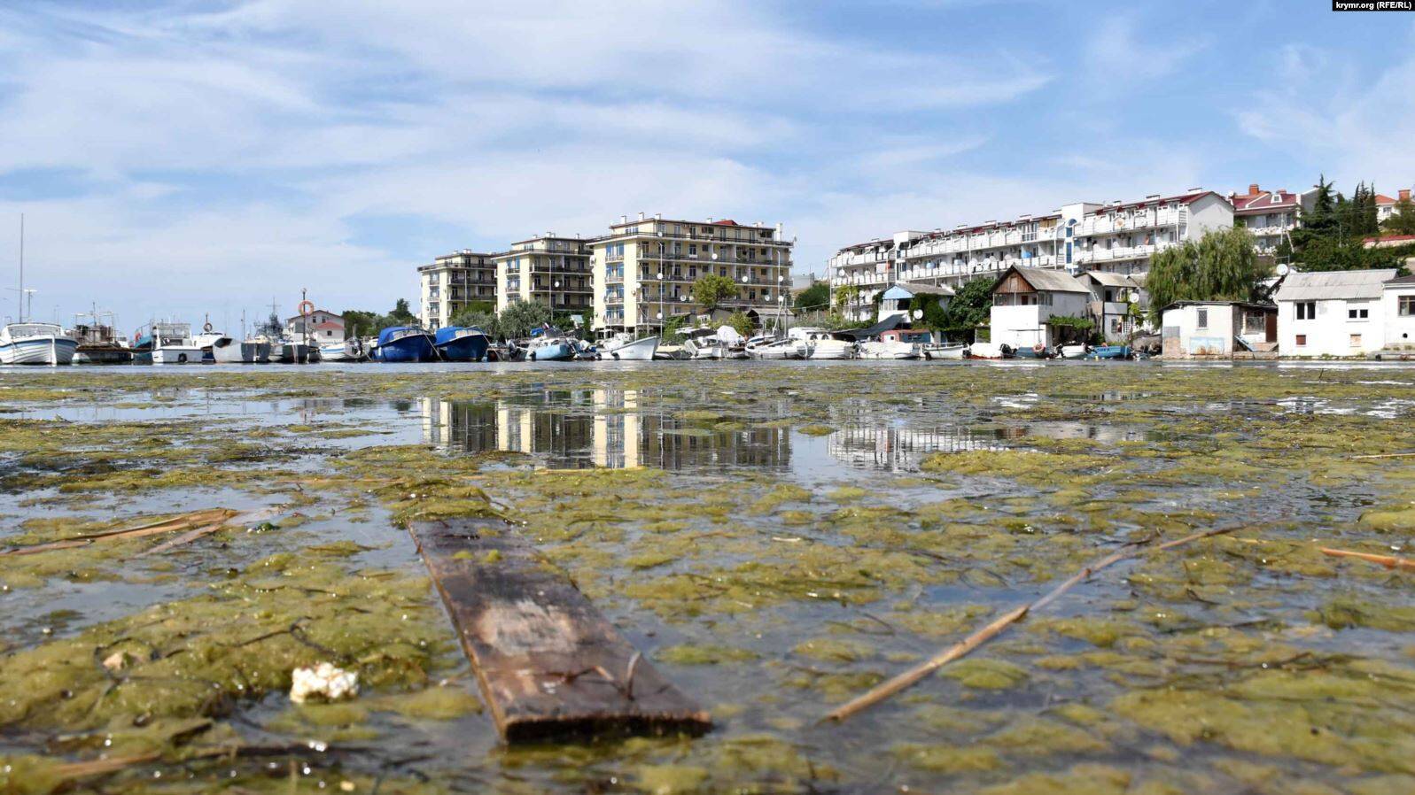 Грязная вода в Стрелецкой бухте