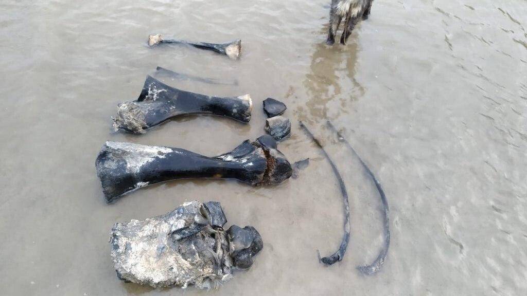 Експерти не виключили, що на дні озера лежить інша частина скелета