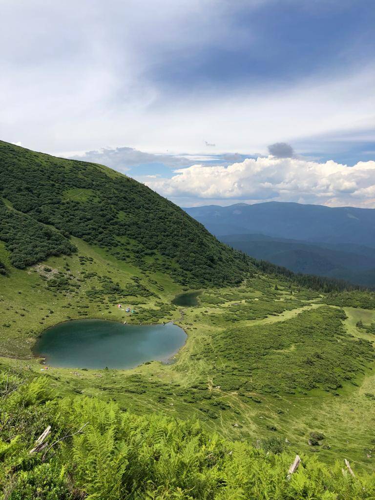 Музикант провів тиждень в Карпатах