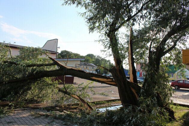 На Волині пронісся потужний ураган: опубліковано фото наслідків