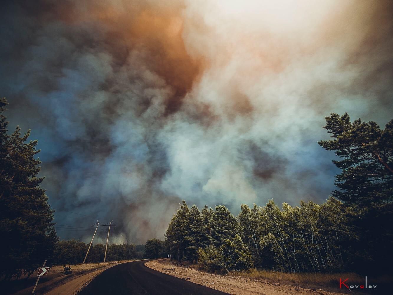 Возле Северодонецка горят десятки гектаров леса
