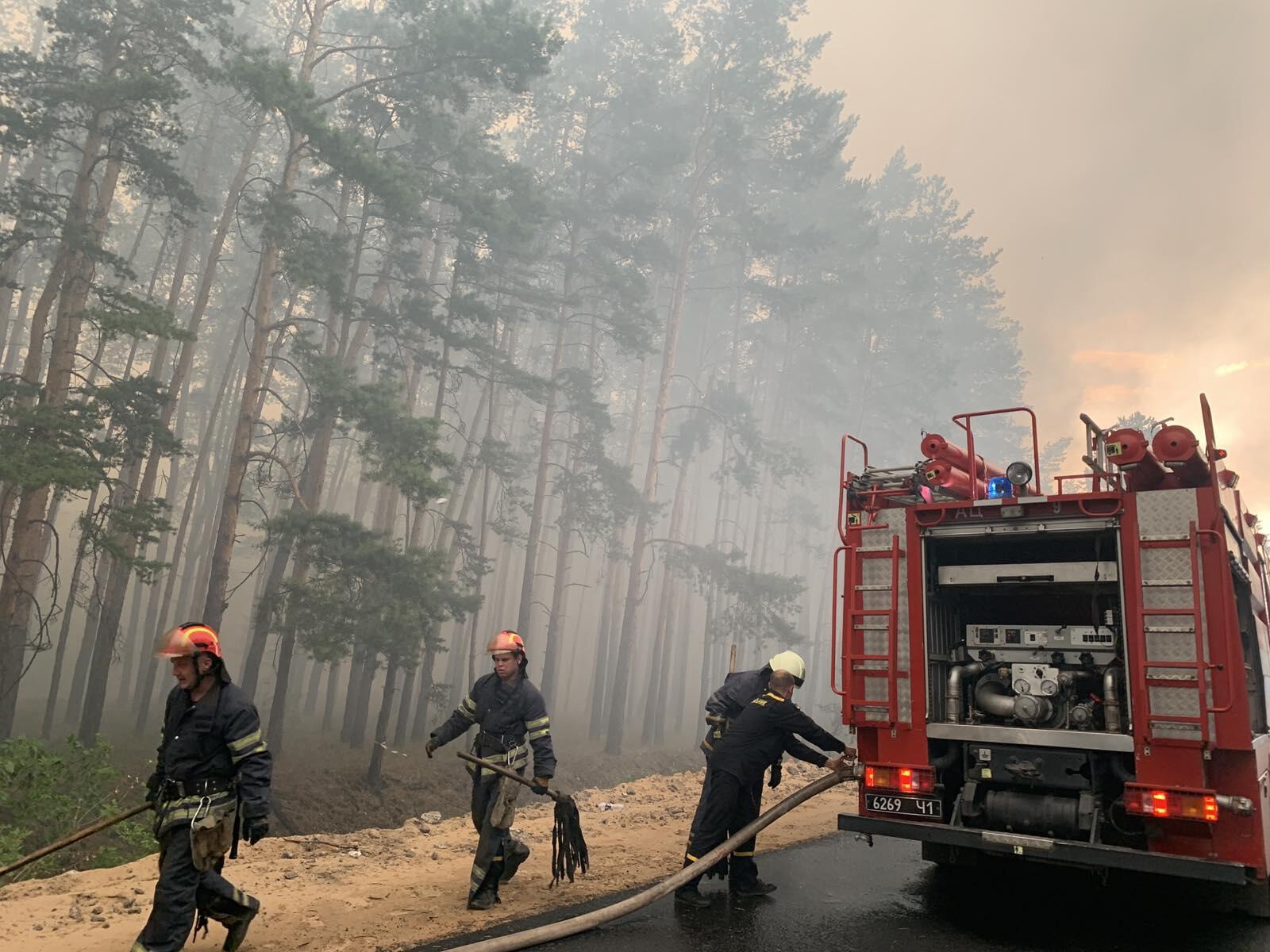 Вогонь палає на десятках гектарів лісів