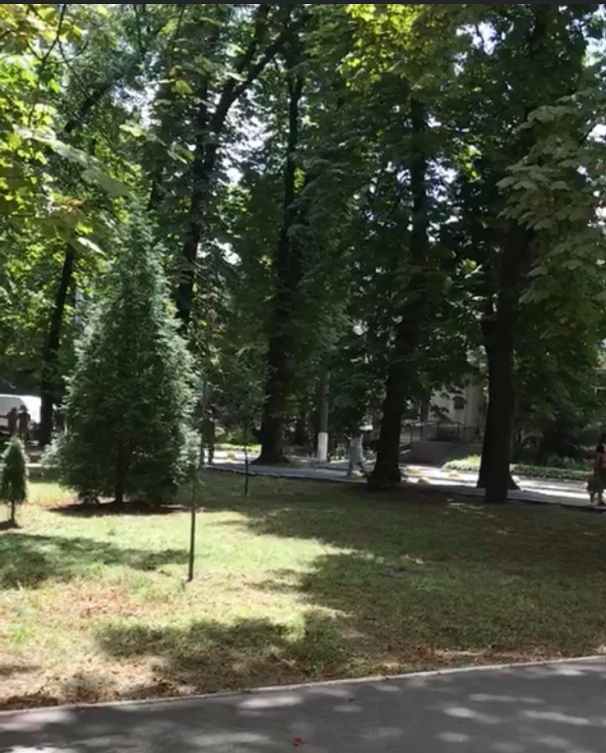 Я многое видела, но бывают ситуации, когда наступает шок