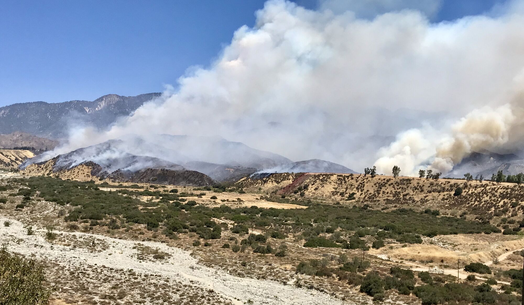 San Bernardino National Forest
