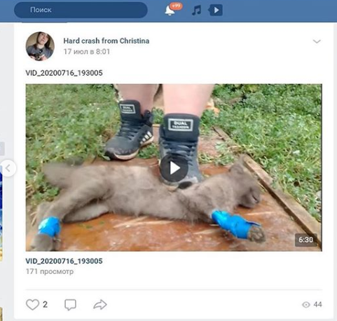 Кристина публиковала фото издевательств над животными