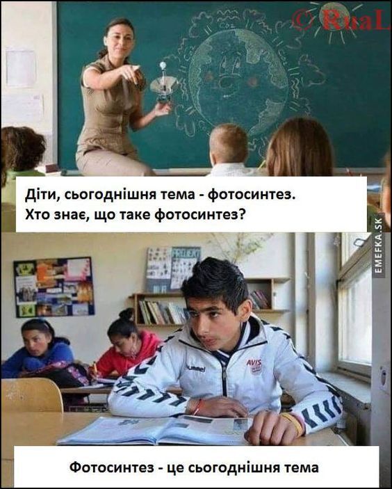 Дистанційне навчання в Україні: опубліковано смішні приколи | Онлайн уроки  | MedOboz