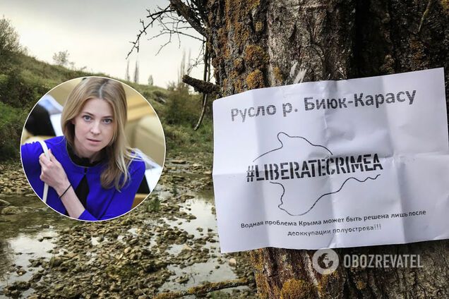 Наталья Поклонская обратилась в ООН из-за неподачи воды в Крым