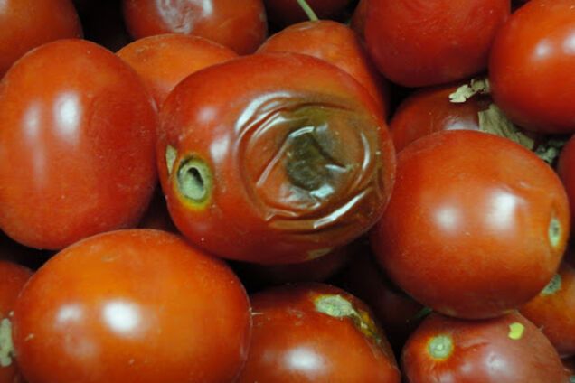 Зіпсовані томати