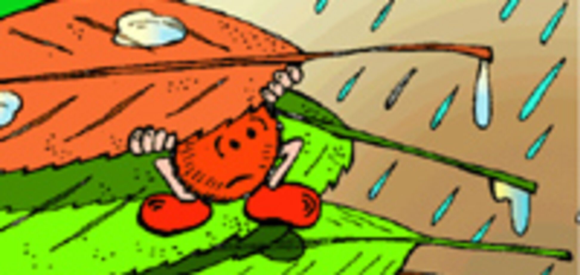 Бабьего лета не будет