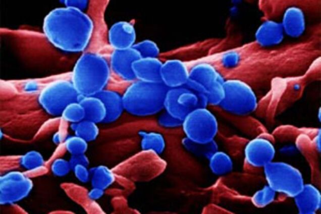 'Пташиний грип' обвалить нафтовий ринок