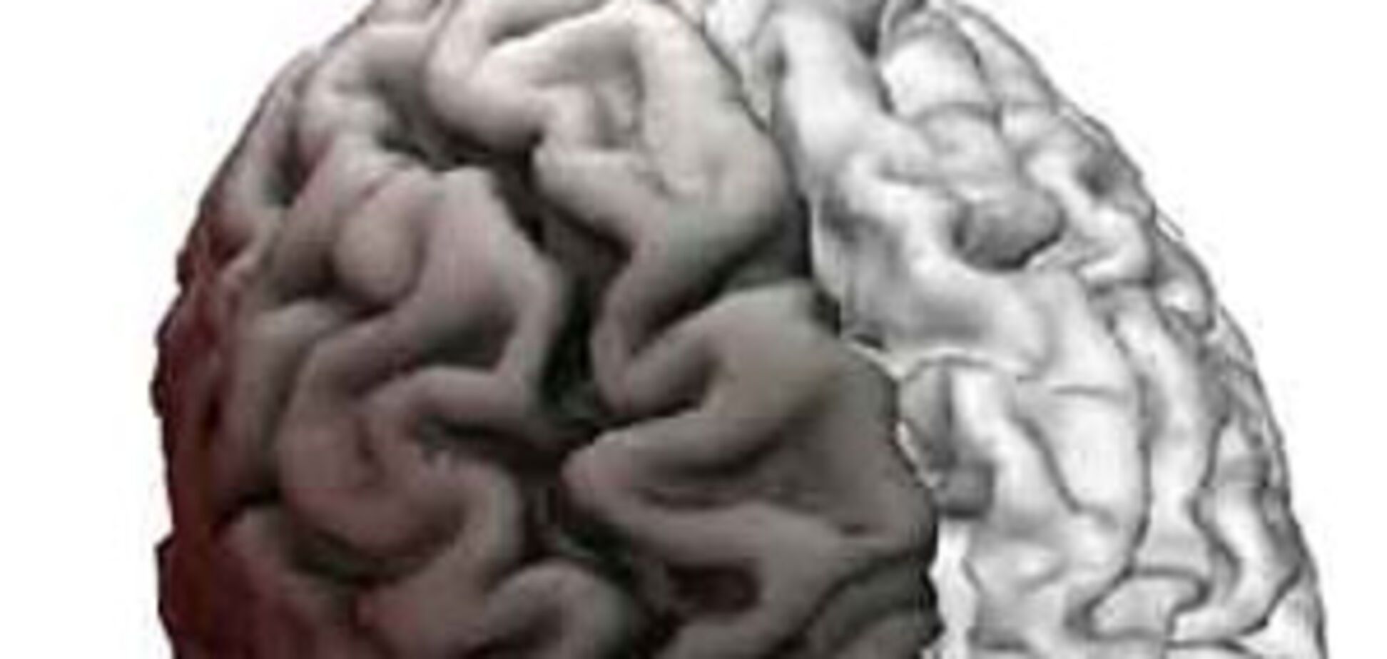 Сильный пол оказался умнее