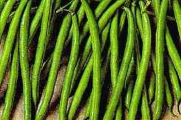 Фасоль, от которой не пукаешь