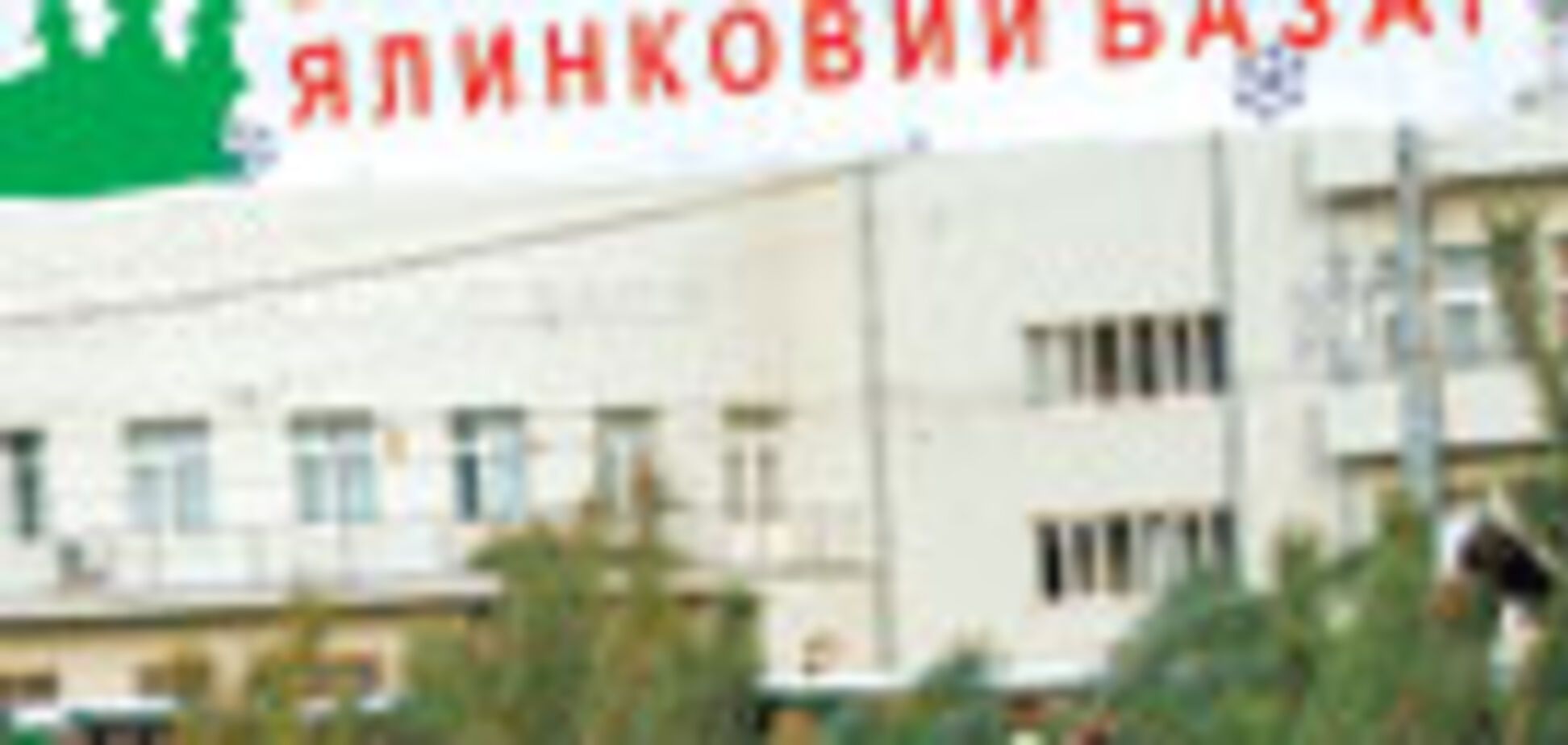 Туркмени залишилися без ялинок