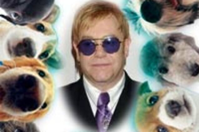 Элтон Джон пожертвовал одну из своих собак