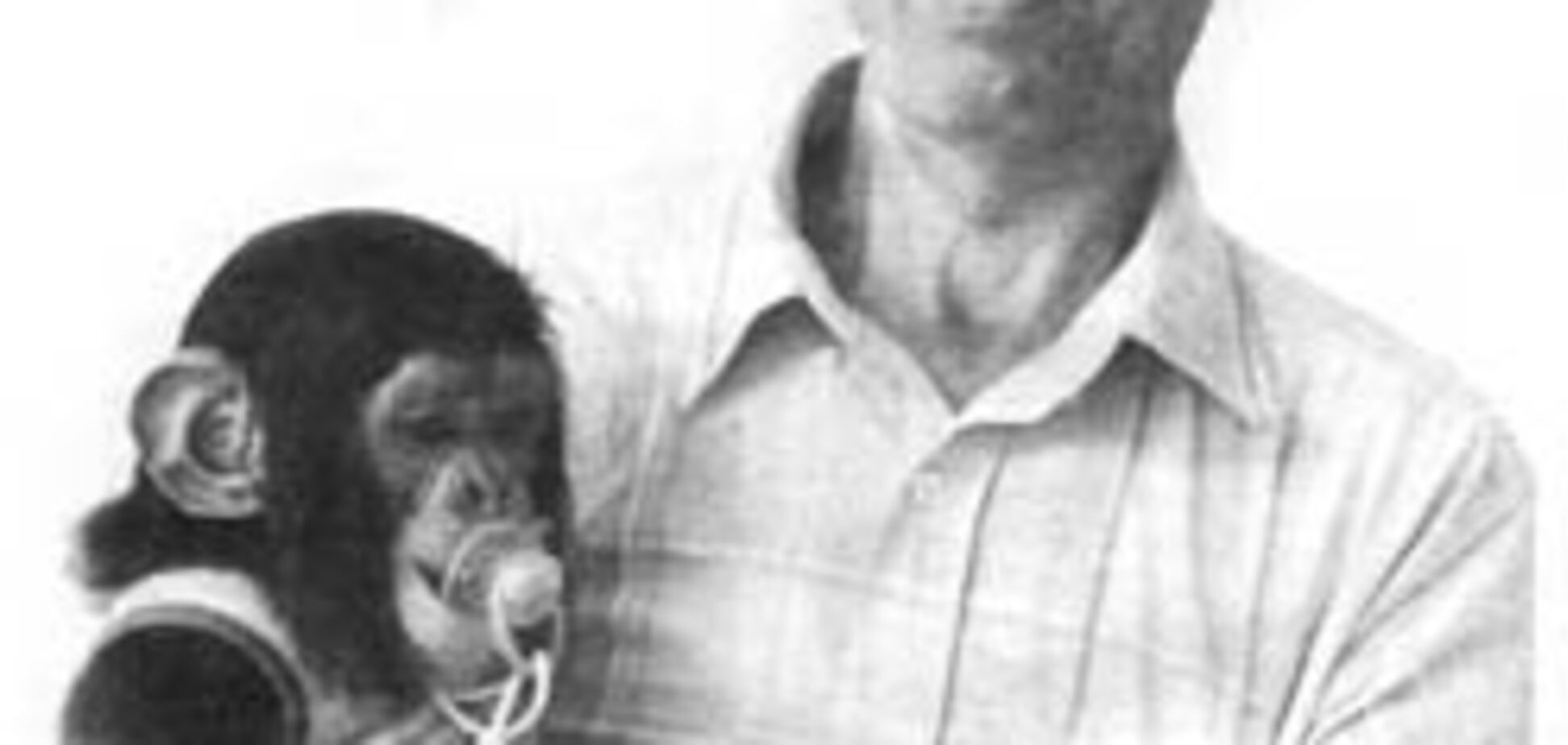 Як рятували шімпанзениша Чарлі