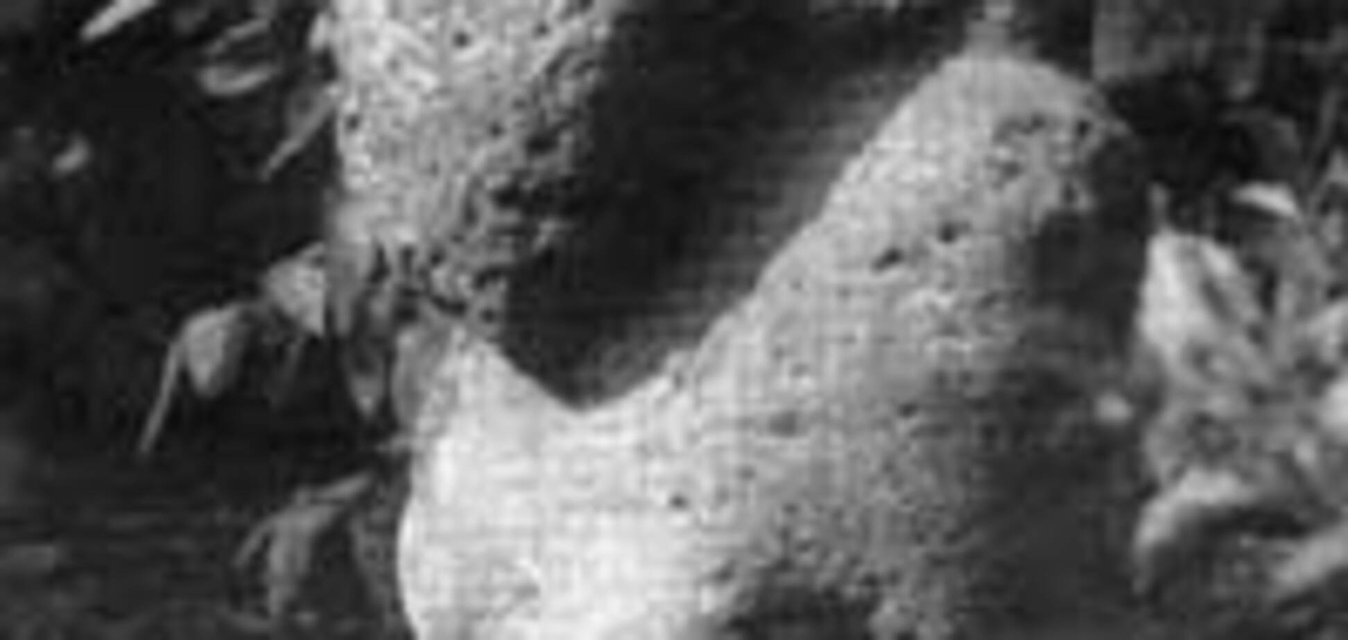 Власник кам'яної баби кожен день дарує їй подарунки