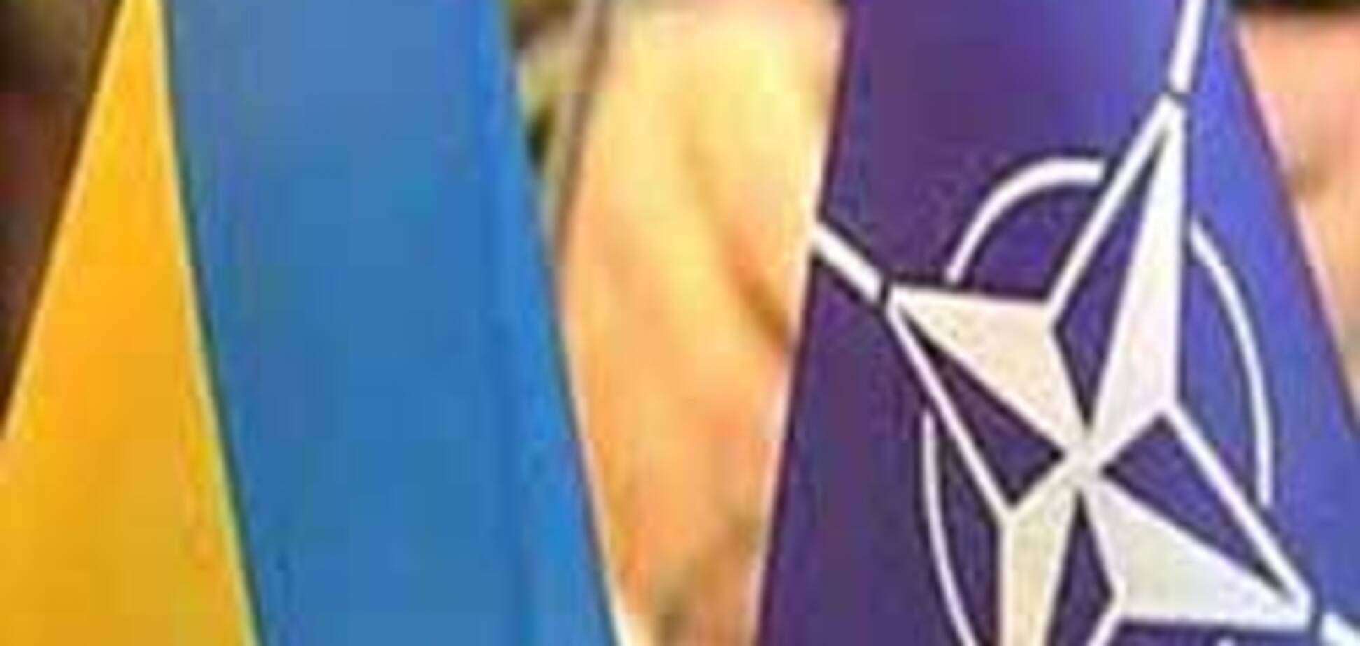 Украина пойдет в НАТО несмотря на Януковича и референдум