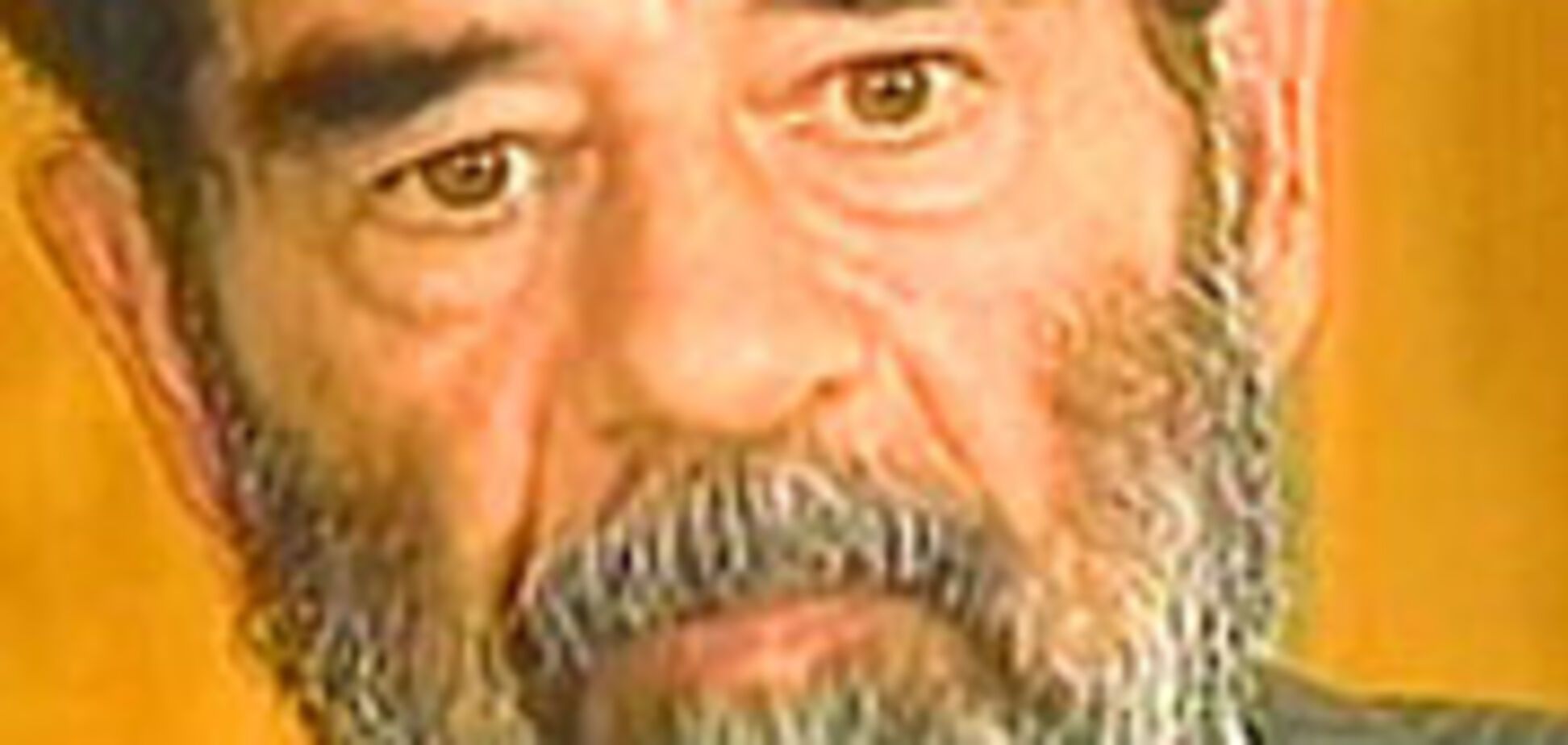 Приговор Хусейну – необоснованный