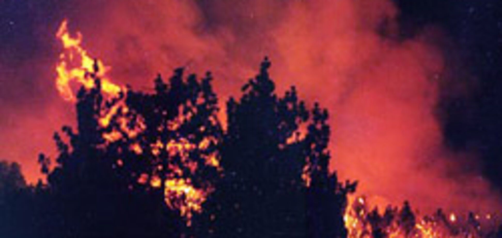 Австралия сгорает в лесных пожарах