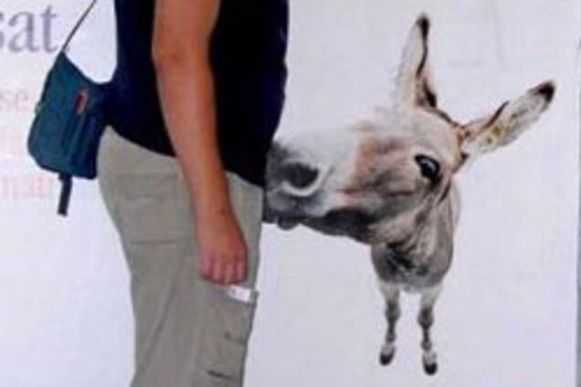 В Дании разрешили секс с животными