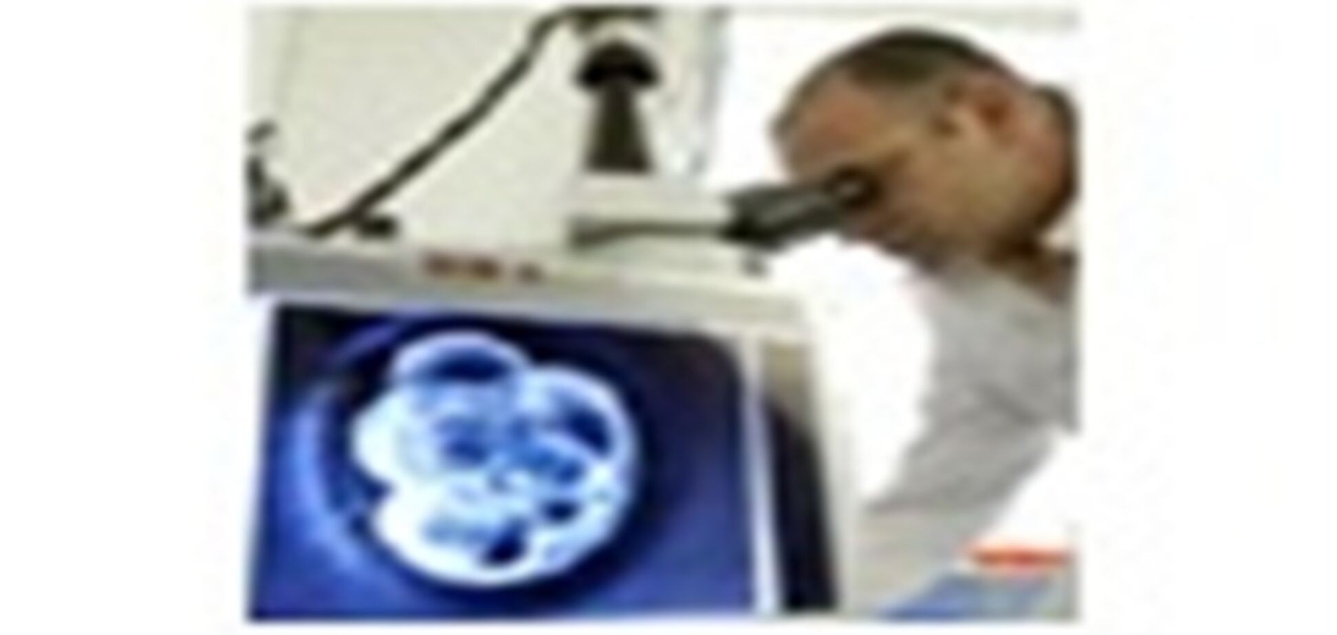 Корпус даст телефону энергию?