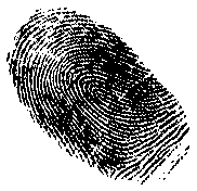 США нашли доказательства иранских диверсий в Ираке