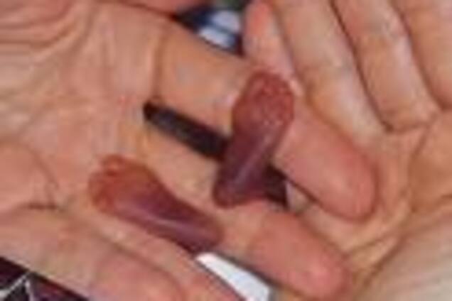 Новорожденная размером с шариковую ручку. ФОТО