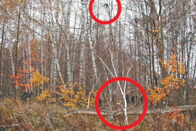 Підліток випав з літака з висоти 1000 метрів. Шок-ФОТО